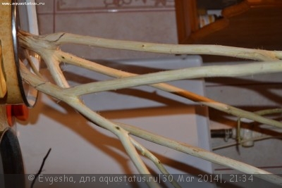 Коряга в аквариуме