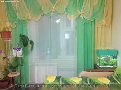 Фото Аквариум Маленький мирок 20 литров Дядя Витя  (photo#53334)
