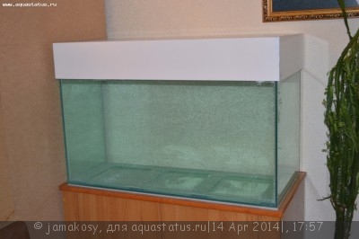 Запуск 270 литрового аквариума (jamakosy)
