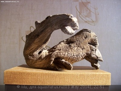 Коряга в аквариуме