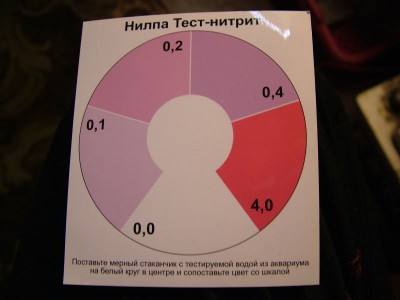 Фото Помогите определить причину гибели рыб. (photo#5495)