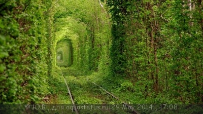 Фото Конкурс Моя краса-моя країна на украинском форуме. (photo#55313)