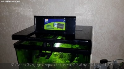 Фото Подбор освещения в небольшой аквариум (photo#55324)