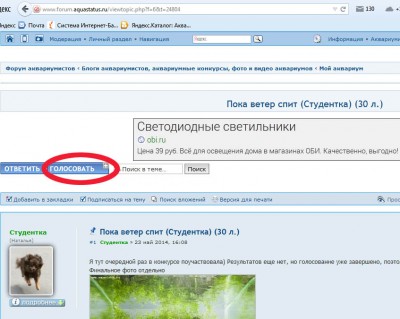 Фото Ежегодный конкурс-голосование Лучшие аквариумы форума  (photo#55388)