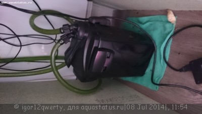 Аквариум в наследство.Что делать?
