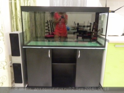 Фото Мой долгожданный аквариум 240л amelia  (photo#59711)