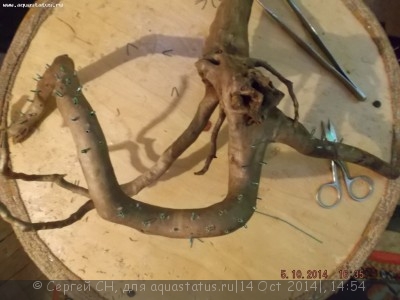Коряга в аквариуме