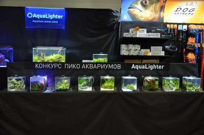 Фото 1-й российский конкурс ПИКО аквариумов Aqualighter Pico (photo#61392)