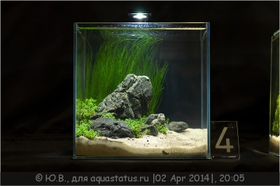 Фото 1-й российский конкурс ПИКО аквариумов Aqualighter Pico (photo#61622)