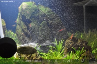 Оборудование для борьбы с водорослями Twinstar (Твинстар)