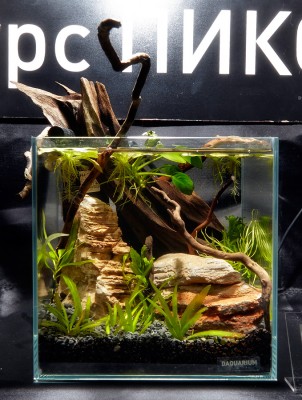 1-й российский конкурс ПИКО аквариумов Aqualighter Pico