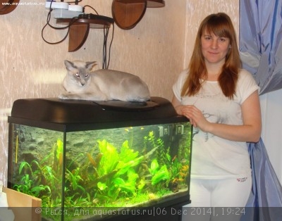 Фото Новый конкурс: Мисс аквариумистка AQUASTATUS-2014 (photo#62743)