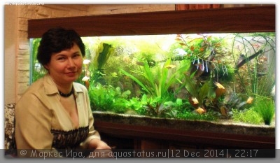 Фото Новый конкурс: Мисс аквариумистка AQUASTATUS-2014 (photo#62916)