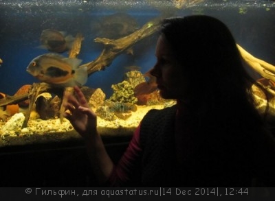 Фото Новый конкурс: Мисс аквариумистка AQUASTATUS-2014 (photo#62952)