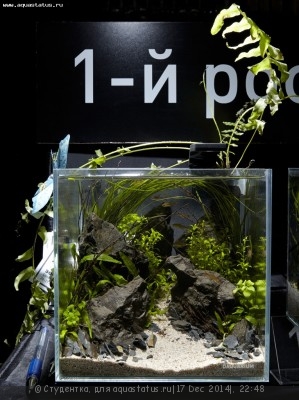 Фото Новый конкурс: Мисс аквариумистка AQUASTATUS-2014 (photo#63106)