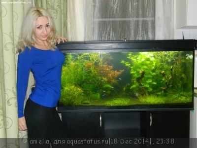 Фото Новый конкурс: Мисс аквариумистка AQUASTATUS-2014 (photo#63143)