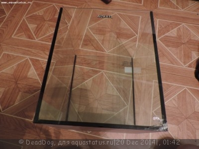 Разбита стенка аквариума