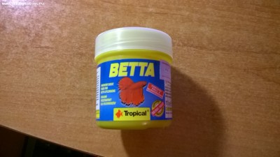 Фото Рыбка петушек лежит на дне (photo#63789)