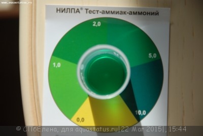 Фото Запуск по системе ADA 120л (photo#66924)