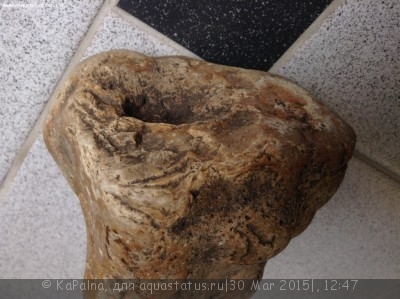Камни для аквариума. Можно ли камень в аквариум?
