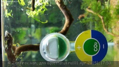 Тесты для воды в аквариуме, аквариумные тесты