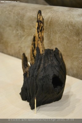 Коряга в аквариуме