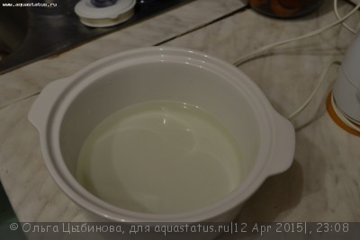 Мутная вода в аквариуме, муть в аквариуме