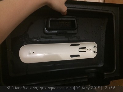 Фото Не могу разобраться с освещением в аквариуме (photo#68269)