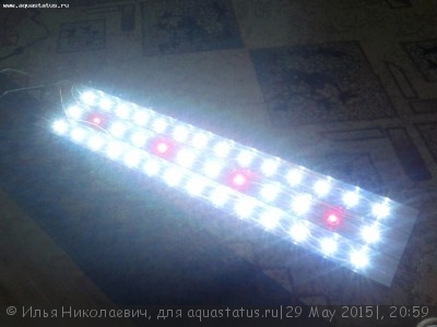 Фото Аквариум 180 литров Илья Николаевич  (photo#68827)