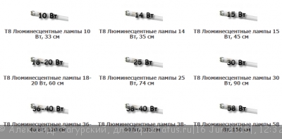 Запуск нового аквариума