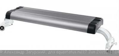 Запуск нового аквариума