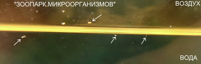 Фото Обратный эффект от Melafix и делагила (photo#70374)
