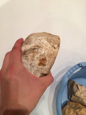 Камни для аквариума. Можно ли камень в аквариум?