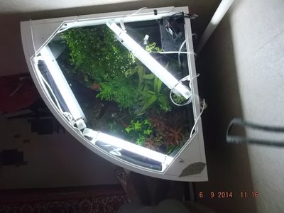 Фото Как увеличить свет в данном случае? (photo#71664)