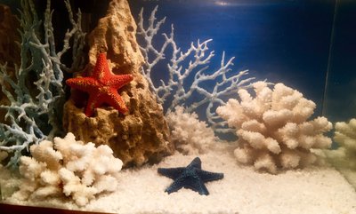 Фото Белые хлопья после запуска (photo#72396)