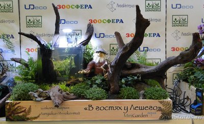 Фото Зоосфера 2015 отчеты форумчан (photo#73438)