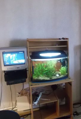 Освещение для панорамного аквариума