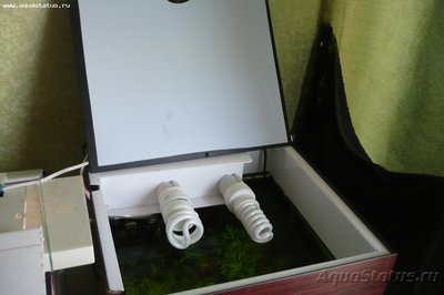 Освещение для панорамного аквариума