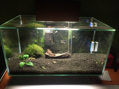 Аквариум FLuval edge 23 литра (zeus1981)