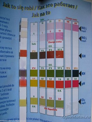 Не могу разобраться с тестом Тетра 6 в 1.