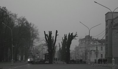 Фото Аквариум Максималус бюджетикус на 160 литров Cameraman  (photo#73799)
