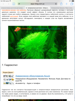 Растения для аквариума объемом 30 литров