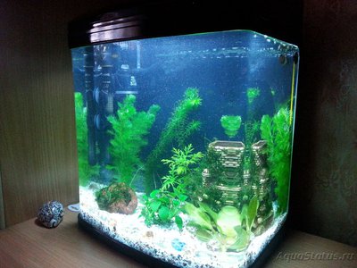 Фото Аквариум JEBO R338 30 литров Doctor_Zig  (photo#74016)