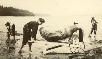 Фото Фотографии необычных водных обитателей (photo#74357)