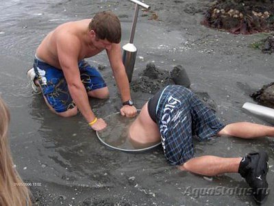 Фото Фотографии необычных водных обитателей (photo#74358)