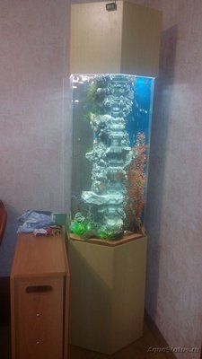 Фото Зеленые точки на стекле (photo#74650)