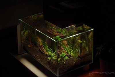 Аквариум FLuval edge 23 литра (zeus1981)