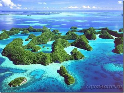 Фото Фотографии необычных водных обитателей (photo#74904)