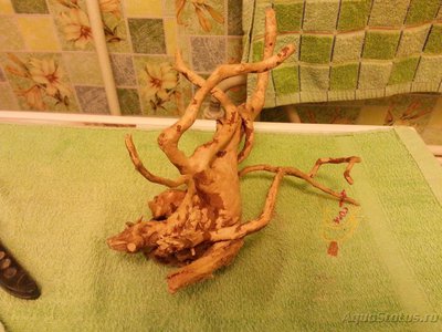 Коряга в аквариуме