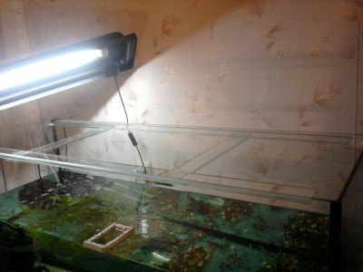 Фото Неровно стоит аквариум (photo#7520)